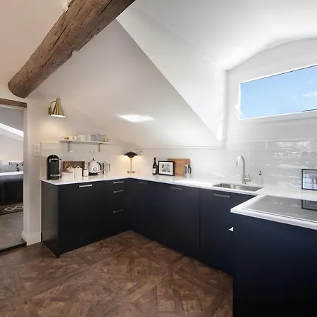 Cocoon Loft - Magnifique Loft Sous Toit, Refait A Neuf, Vues Splendides, Clim, Wifi Apartment Nizza