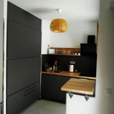 Appartement Nice- Gairaut - Jardin Prive- Grand F1 Lumineux-piscine Collective Nice