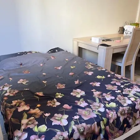Appartement : Magnifique En Centre ! Nice