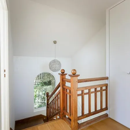 Elegante Avec Vue *