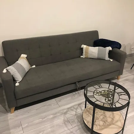 Lovely Cosy 公寓 尼斯
