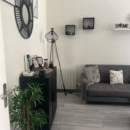 Lovely Cosy 公寓 尼斯