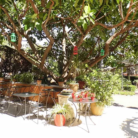 Hotel Anis