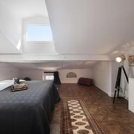 Apartament Cocoon Loft - Magnifique Loft Sous Toit, Refait A Neuf, Vues Splendides, Clim, Wifi Nicea