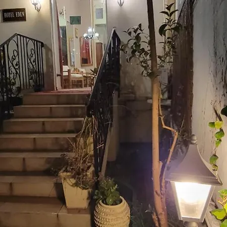 艾登别墅酒店 酒店 尼斯