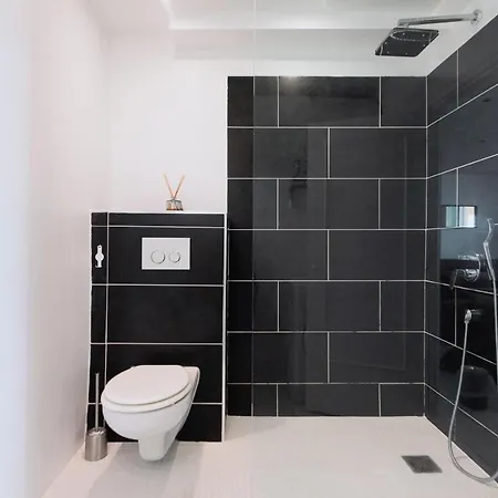 Grand Appartement- Le Port A/c * Niza