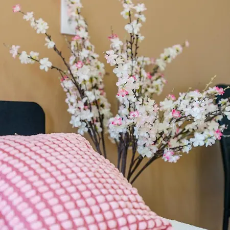 Apartment Nicehome Massena
