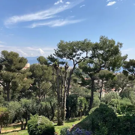 Apartment Terrasse , , La Piscine Nice