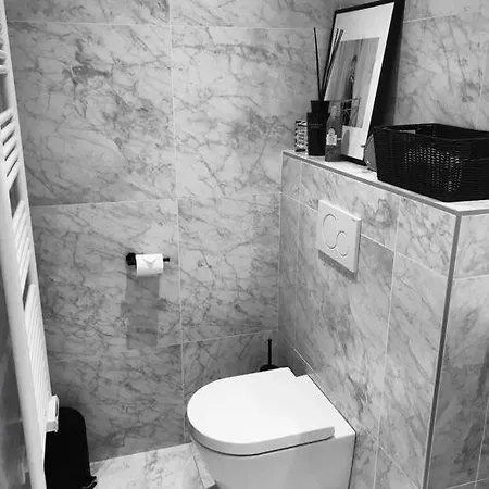 Apartament Stylish 4-star Cocoon In The Heart Of Le Marais Nicois Nicea
