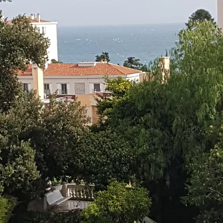 Les Palmiers A 700m De La Appartamento *