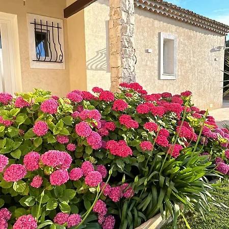 Duplex Oliveraie Piscine Au Sel Marin Et Parking 아파트 니스