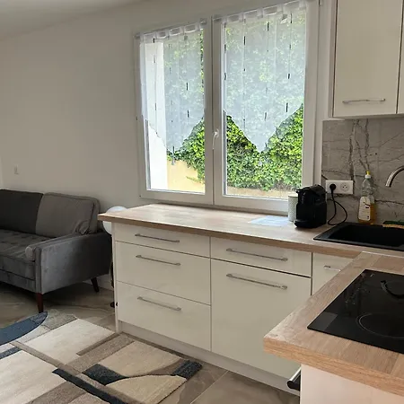 Duplex Oliveraie Piscine Au Sel Marin Et Parking 아파트 니스