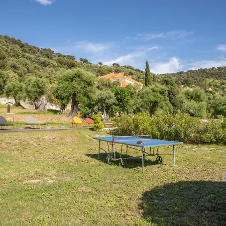Bonnard In Sea And View & Pool Nice