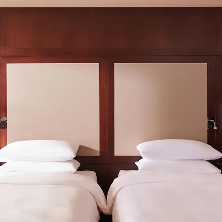 Hyatt Regency Palais De La Mediterranee מלון ניס