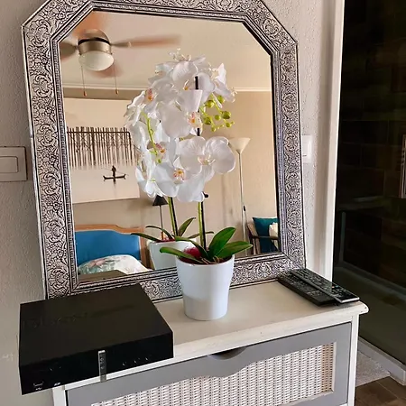 Apartman Luxurious In 450 M Of The Sea *