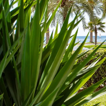 Apartment L54 1bdr Promenade Sea View Ac & Balcony *