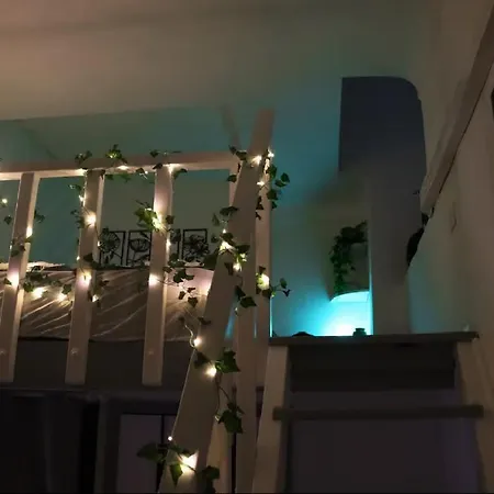 Jungleroom Connecte ! Au Coeur Du Vieux アパート ニース