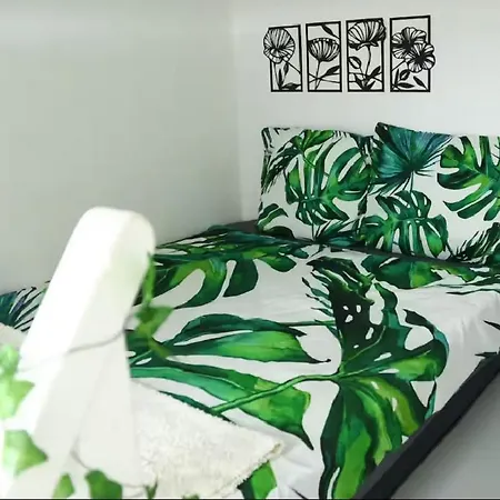 Jungleroom Connecte ! Au Coeur Du Vieux アパート *