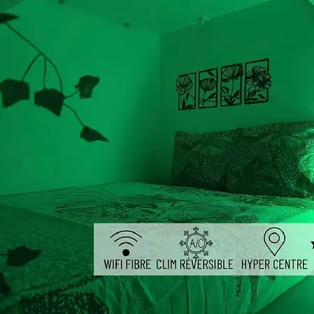 アパート Jungleroom Connecte ! Au Coeur Du Vieux ニース
