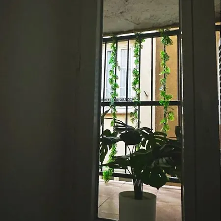 Jungleroom Connecte ! Au Coeur Du Vieux アパート