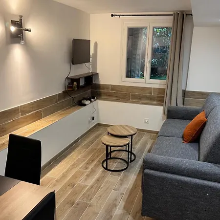 Apartment Cosy Near And Museum Of Fine Arts Nice