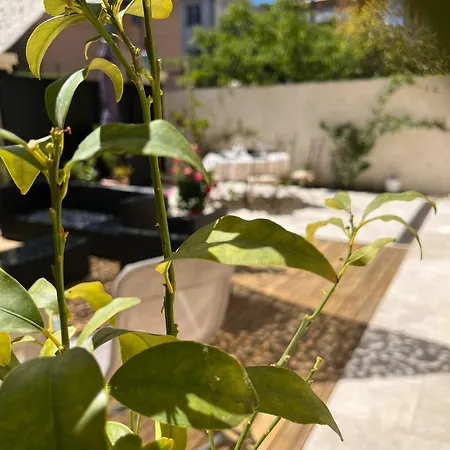 Grand Rez De Jardin Terrasse Calme Centre-ground Floor Quiet Garden Terrace Near Center Of Apartment *