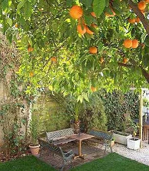 Garden Otel