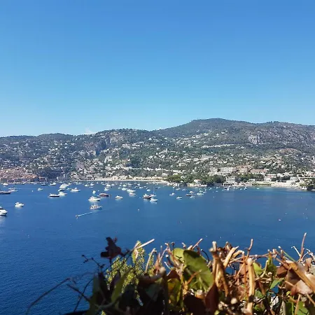Les Palmiers A 700m De La Appartamento *