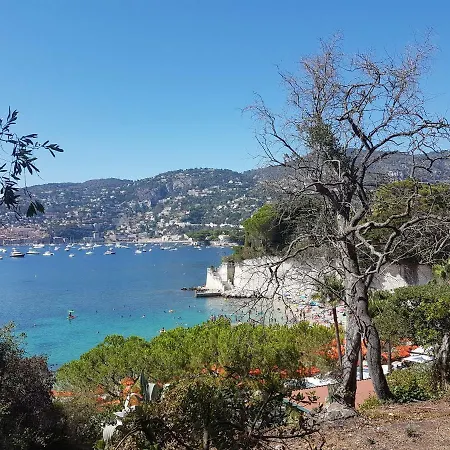 Les Palmiers A 700m De La Appartamento *