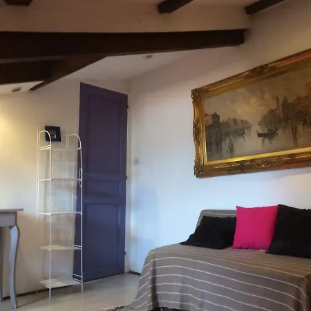 Garibaldi Mansarde Appartement Nice