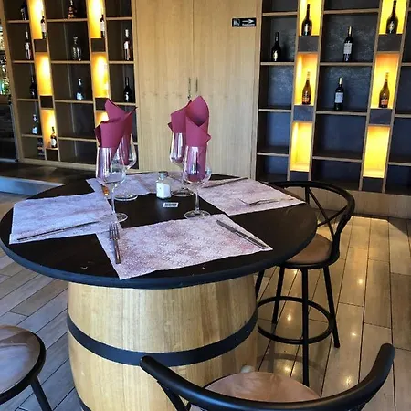 Ibis Budget Palais Nikaia Niza