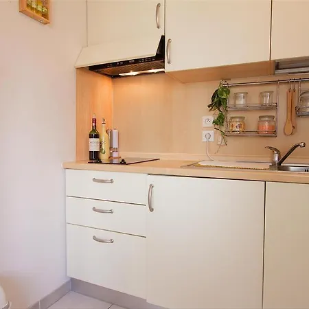 Apartment Palais Des Arts *