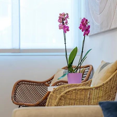 An-nam Homestay, 50m De La Plage, Centre Ville De Nice, Zone Pietonne Holiday home