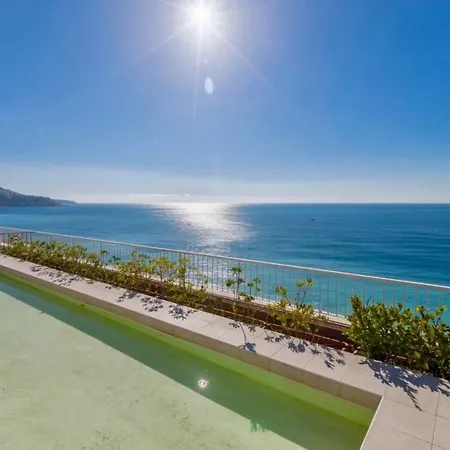 Royal Promenade Pool Terrace With Sea View Apartment Nice