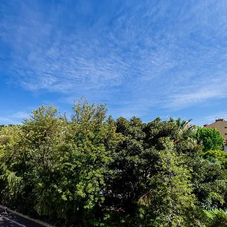 Grand H -f2, Face Vieux- Nice, Terrasse, Ascenseur, Climatisation, Terrace - Center