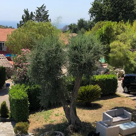 Villa Timana Nice