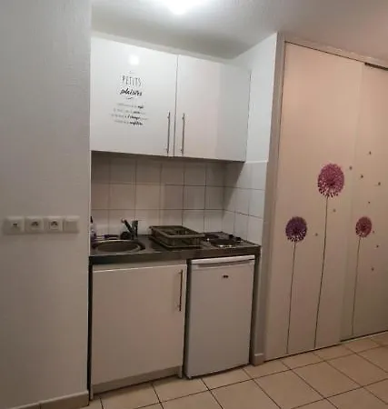 Medicis Charmant Studio Climatise Port Riquier Acropolis Apartment Nice