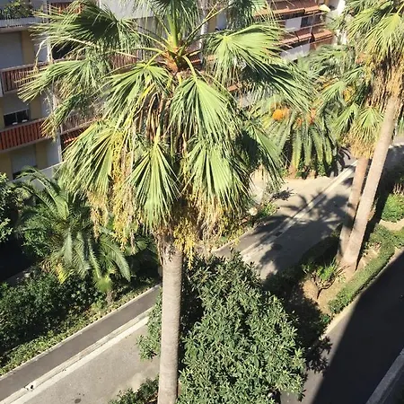 à 2 Pas De La Promenade Des Appartement