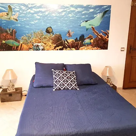 Appartamento Plage Vue Mer *