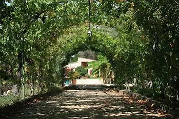 Mas Des Oliviers Bed & Breakfast Nice