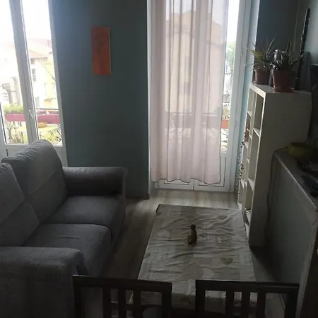 Chambres Dans Un Bel Immeuble Des Années 30