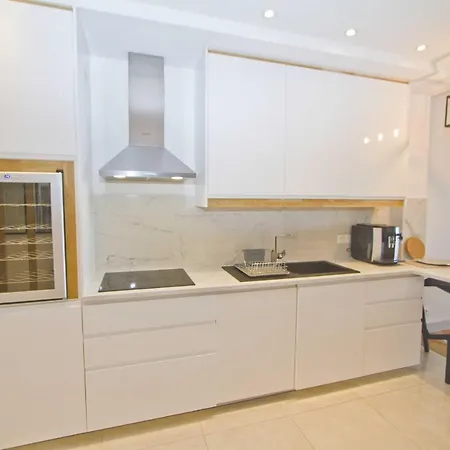 Sea Promenade Seagulls Apartment Nice