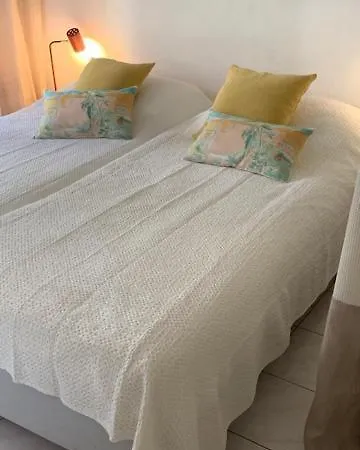 Soraya , Quiet Location With Big Garden Near And Old Town Of * Nice