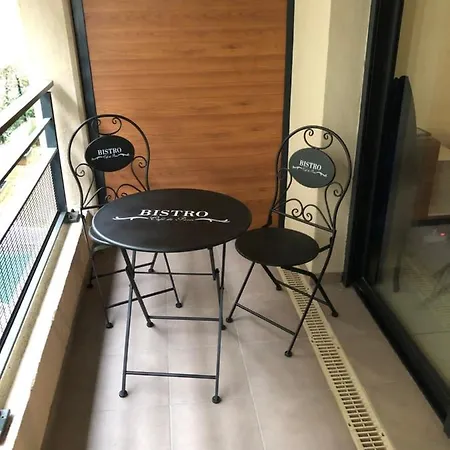 Appartement 41 Avenue Raymond Comboul Nice