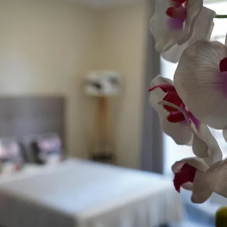 Apartmán Cozy With A Sea View *