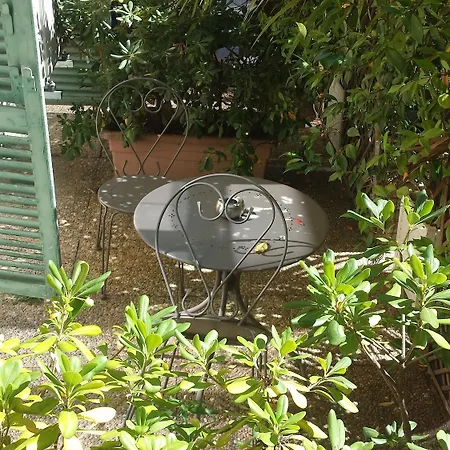 Restaurant Oasis Niza