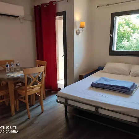 Les Palmiers Apartment *