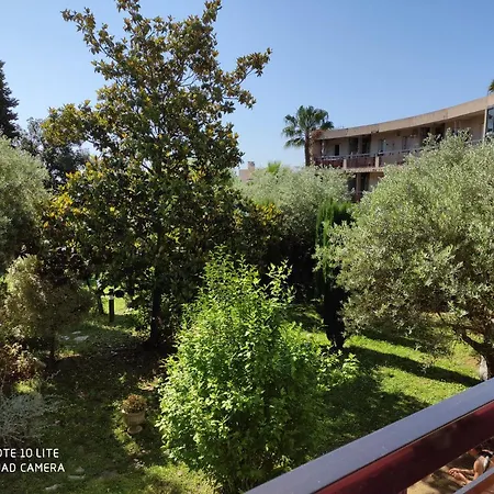 Les Palmiers Apartment