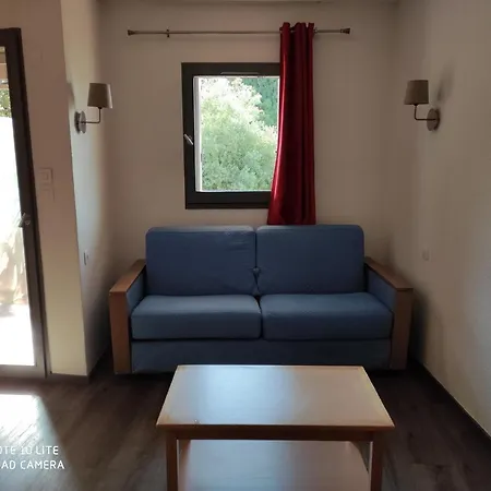 Apartment Les Palmiers *