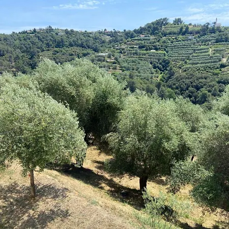 Avec Piscine Chauffee Collines Villa